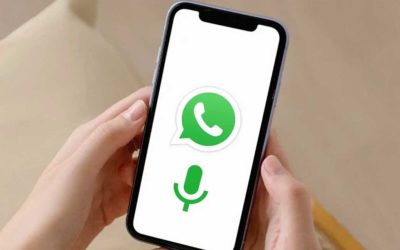 Cómo poner una nota de voz en el estado de WhatsApp en iPhone