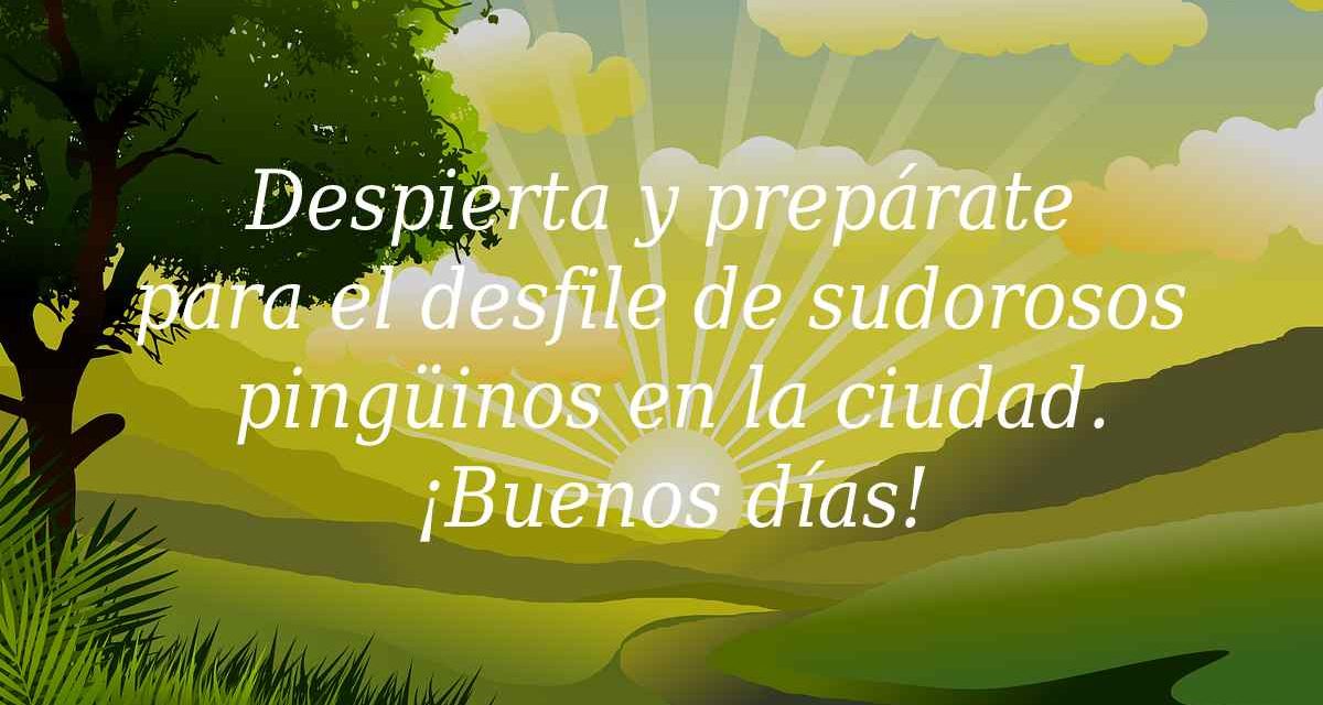 Frases de Buenos días de calor 2024 para WhatsApp: graciosas, de buenas noches, sobre la ola de calor…