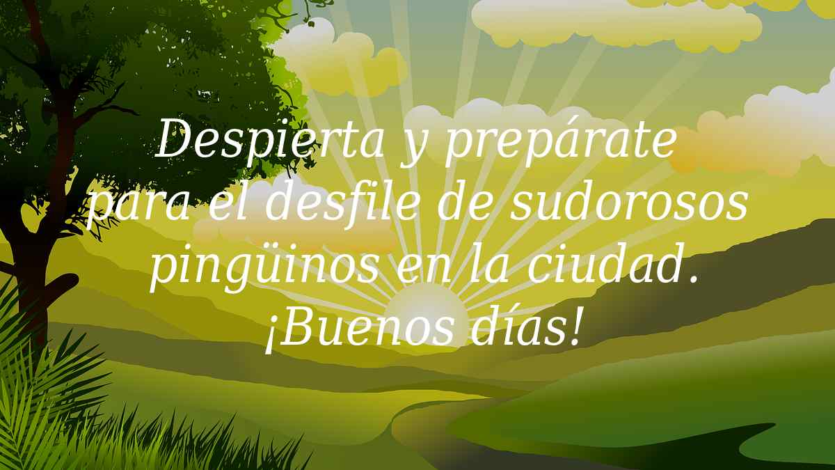 buenos dias calor whatsapp