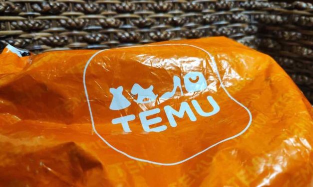 ¿Los regalos gratis de Temu son reales? Esta ha sido mi experiencia