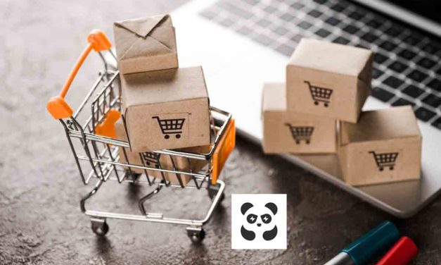 ¿Cuál es el mejor envío de PandaBuy para España?