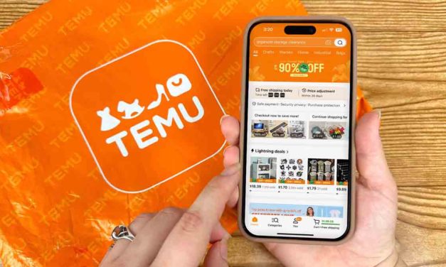 Cuáles son los mejores productos de Temu que puedes comprar