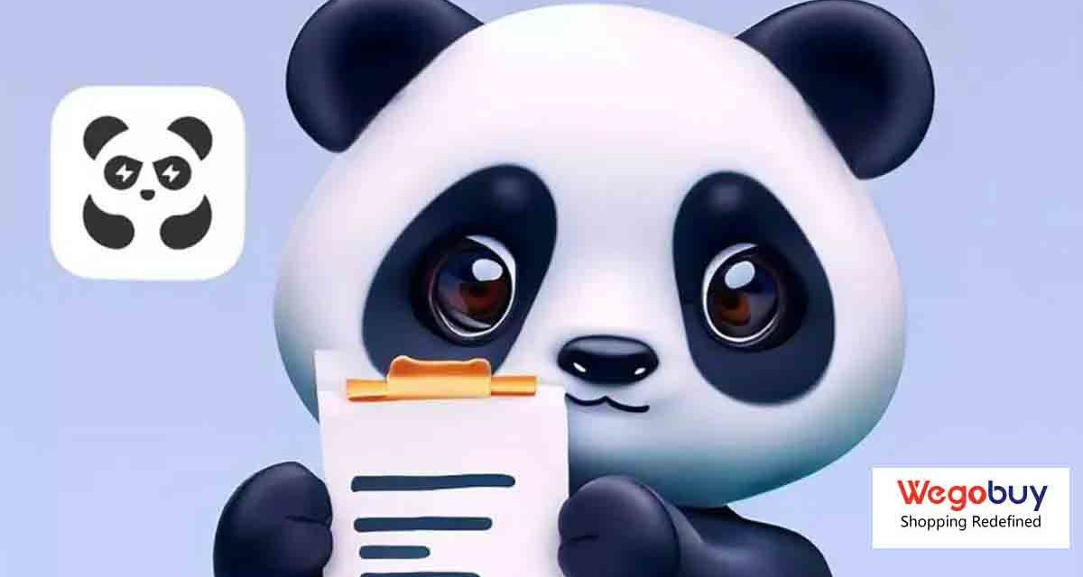 WeGoBuy vs PandaBuy, cuál es mejor para comprar productos de China