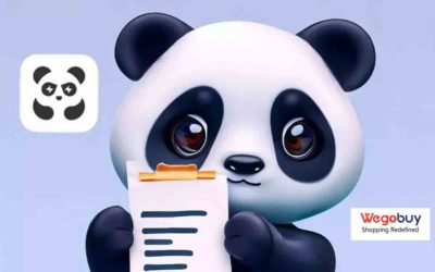 WeGoBuy vs PandaBuy, cuál es mejor para comprar productos de China