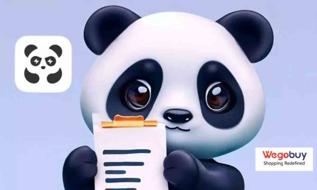 WeGoBuy vs PandaBuy, cuál es mejor para comprar productos de China