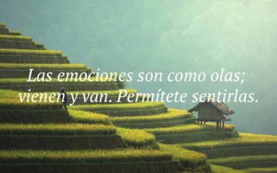 Frases y poemas para personas altamente sensibles: bonitas, de amor, de la vida, cortas…