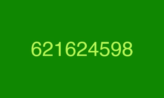 Llamada del 621624598 hoy, ¡cuidado, podría ser una estafa!