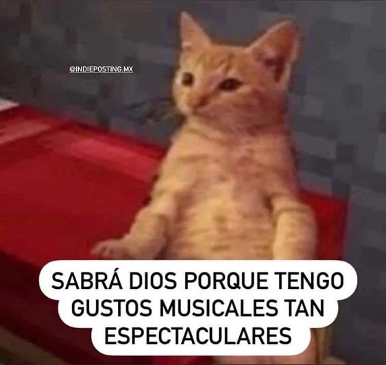 27 memes del Spotify Wrapped 2023