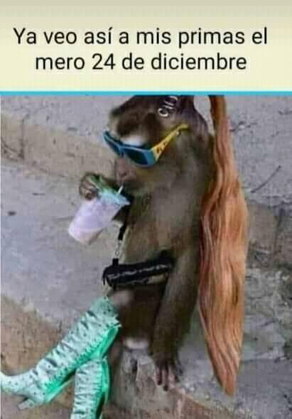 35 memes de diciembre graciosos para compartir por WhatsApp (18)