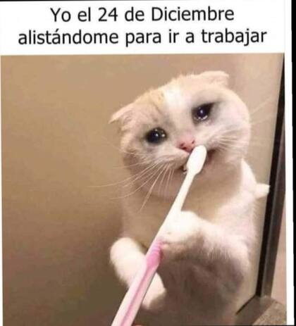 35 memes de diciembre graciosos para compartir por WhatsApp (2)