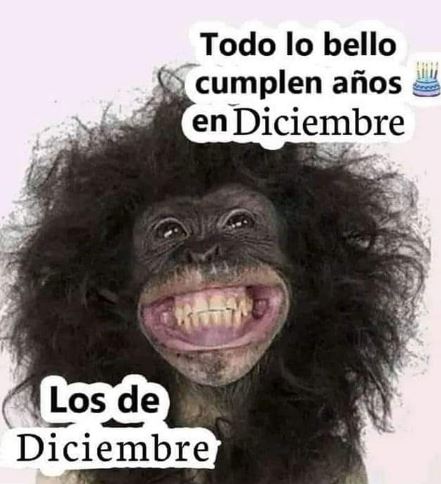 35 memes de diciembre graciosos para compartir por WhatsApp (20)