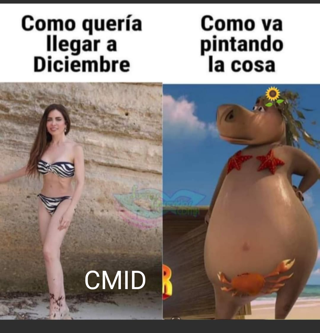 35 memes de diciembre graciosos para compartir por WhatsApp (24)