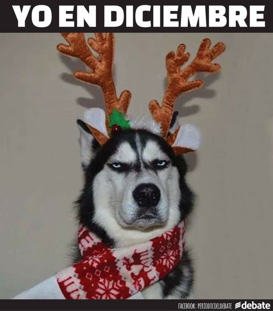 35 memes de diciembre graciosos para compartir por WhatsApp (32)
