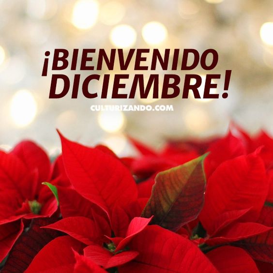 45 imágenes para dar la bienvenida a diciembre por WhatsApp 20