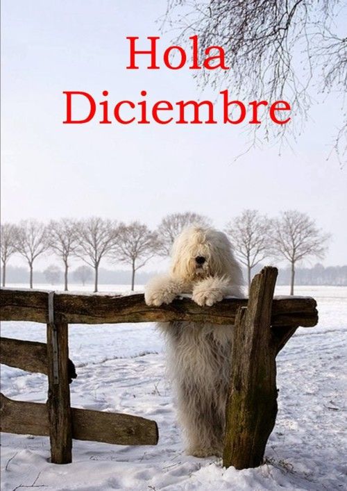 45 imágenes para dar la bienvenida a diciembre por WhatsApp 32
