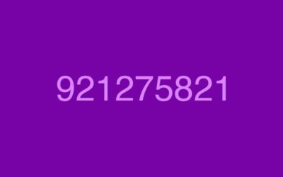Llamadas del 921275821 hoy, ¡presta atención, podría ser fraude!