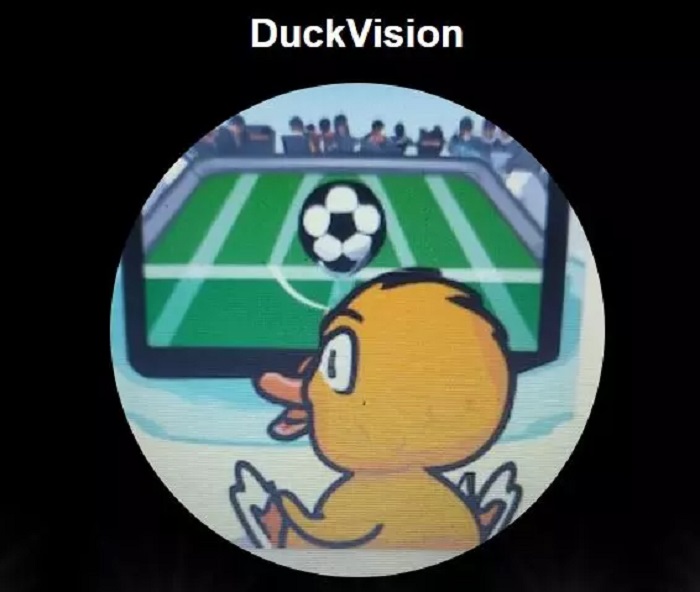 duckvision