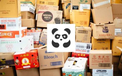 PandaBuy: ¿cuál es la mejor línea de envío a España?