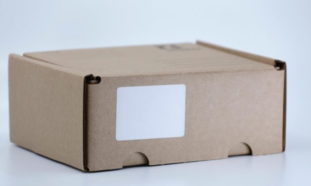 ¿Cuánto tarda un pedido de SHEIN? Tiempo de entrega en España en 2024