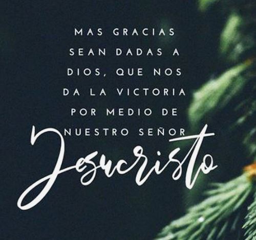 35 imágenes con frases de Navidad 2023 para WhatsApp graciosas, felicitaciones, originales 19