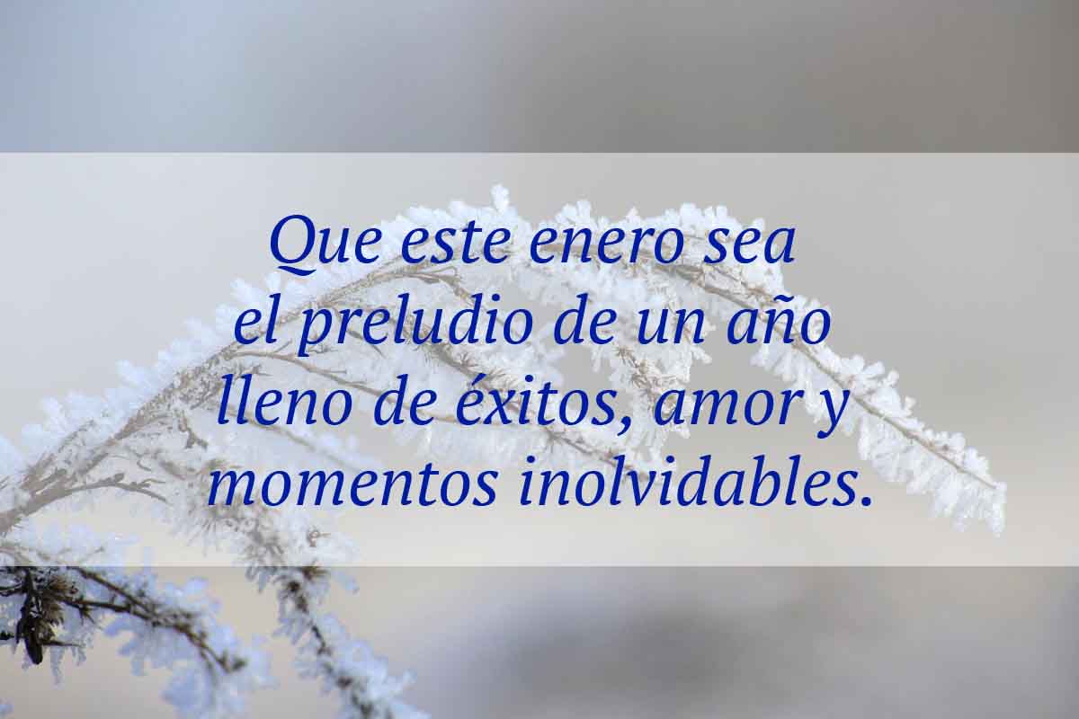 frases-bienvenido-enero-2024
