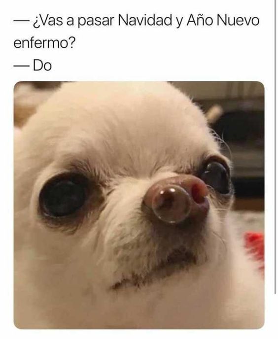 Los mejores 20 memes de Año Nuevo 2024 para WhatsApp (3)