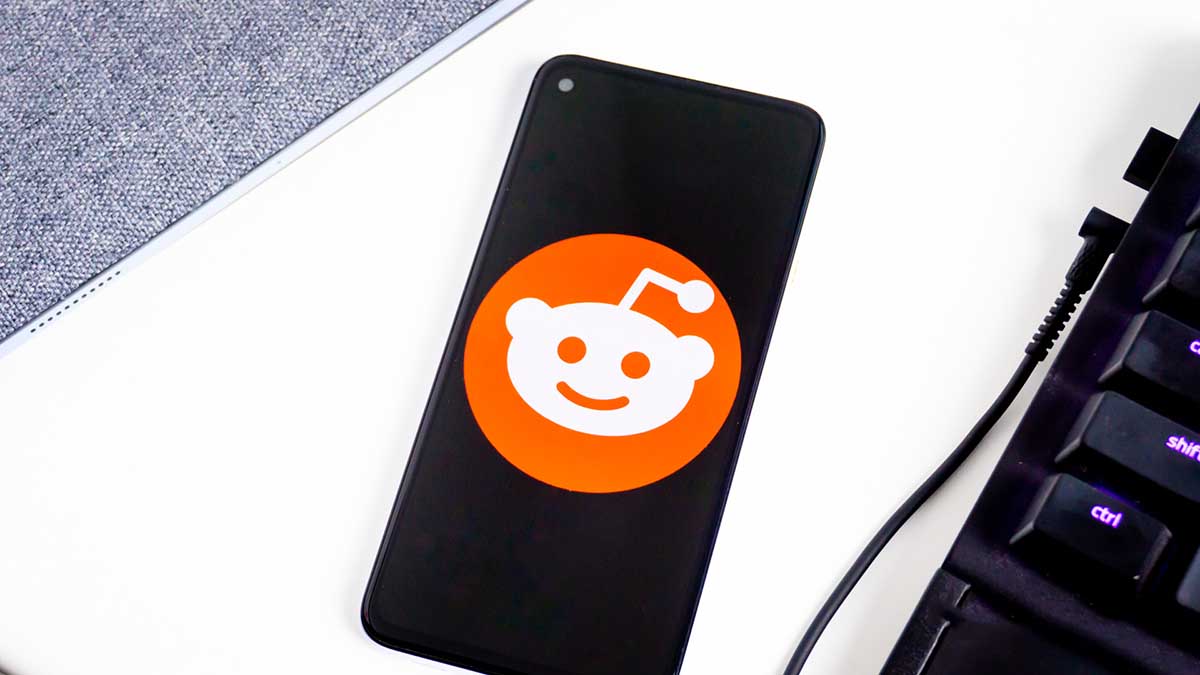 reddit no funciona
