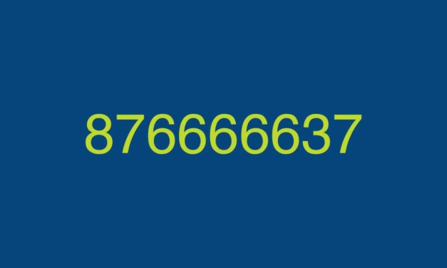 «Cuidado con el 876666637», decenas de usuarios alerta por posible estafa