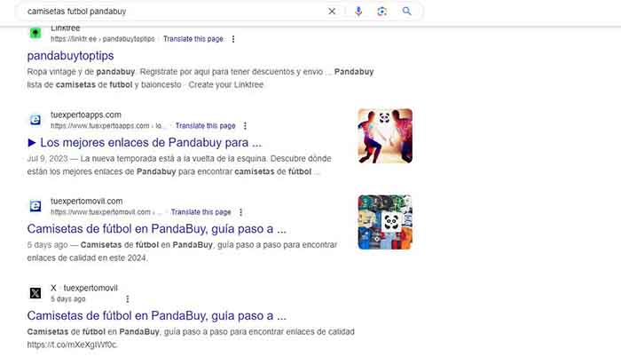 busqueda google pandabuy