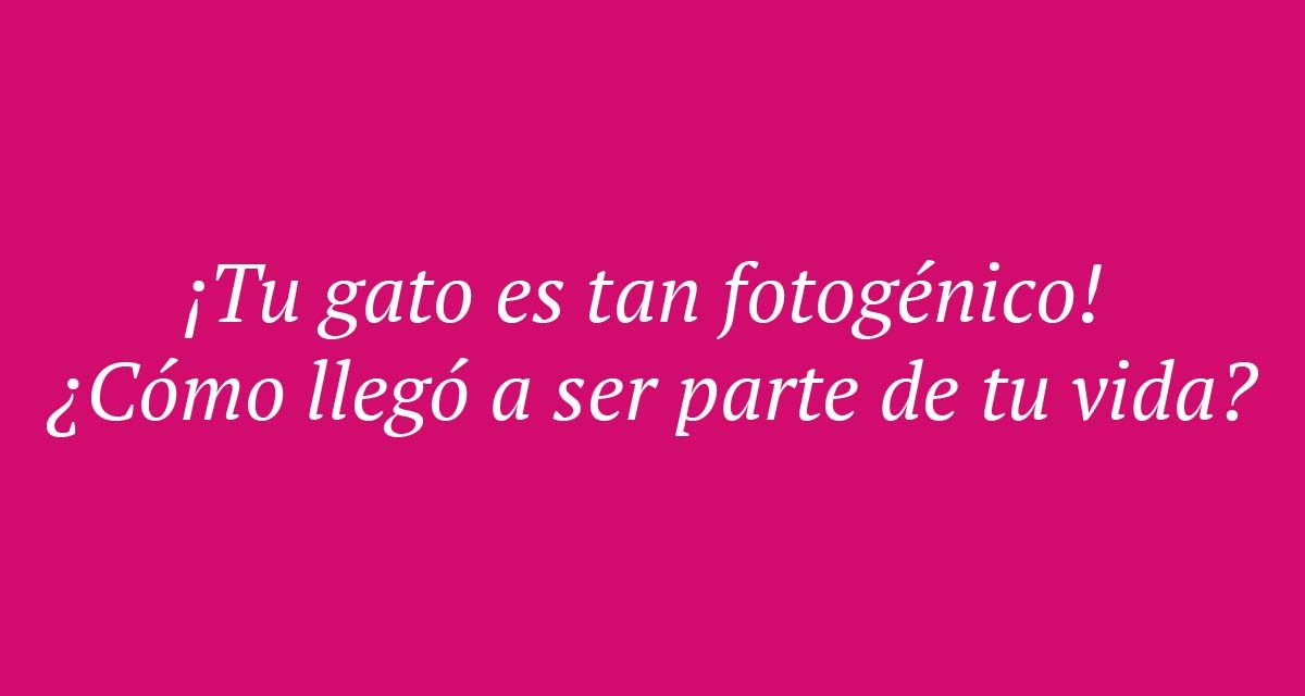 conversaciones exitosas tinder 2024
