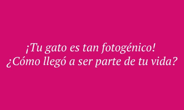 72 conversaciones exitosas de Tinder para este 2024