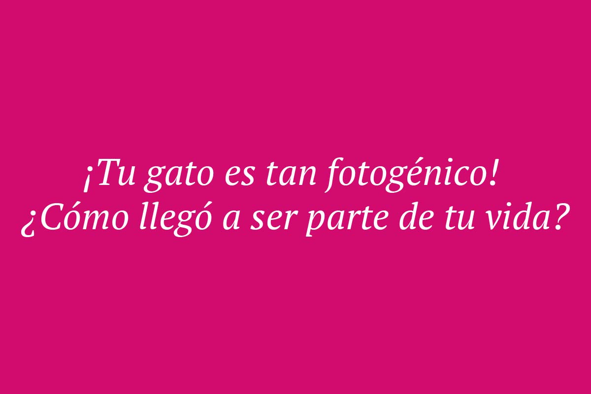 conversaciones exitosas tinder 2024