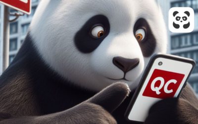 QC Pandabuy, qué significa y cómo encontrar ropa de calidad