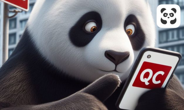QC Pandabuy, qué significa y cómo encontrar ropa de calidad