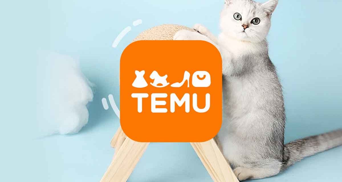 Temu, pedido no entregado: cómo reclamar un pedido