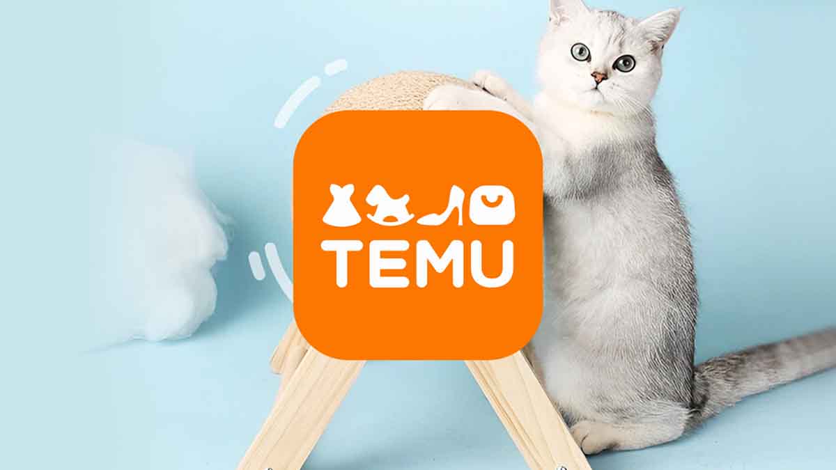 temu pedido no entregado