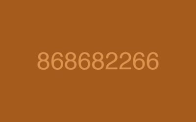 868682266, por qué miles de usuarios están denunciando este número