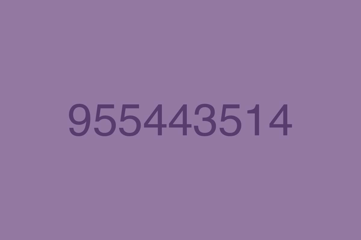955443514-llamadas