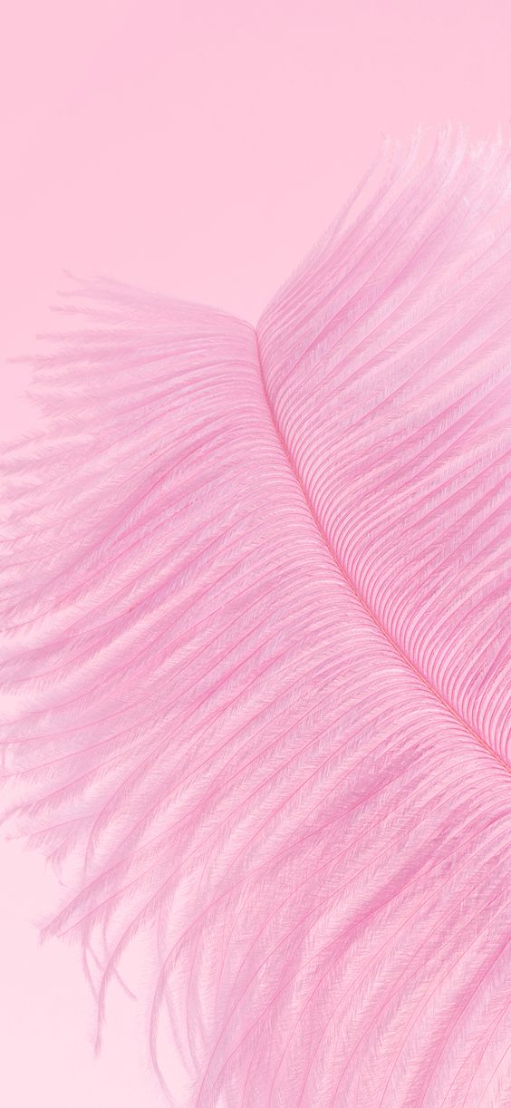 12 fondos de pantalla para redmi note 13 13 pro y 13 pro plus