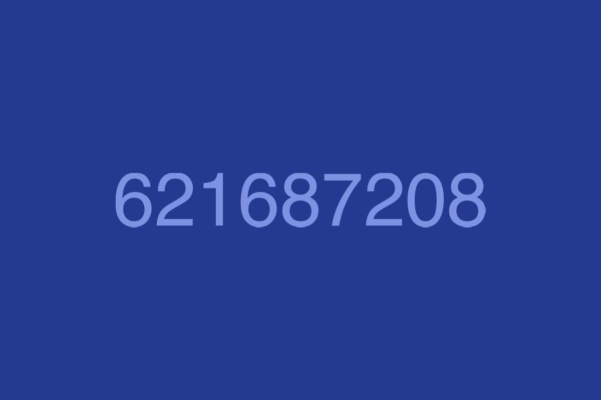 621687208 llamadas