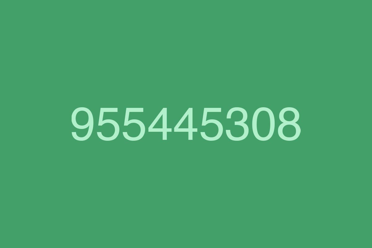 955445308-llamadas