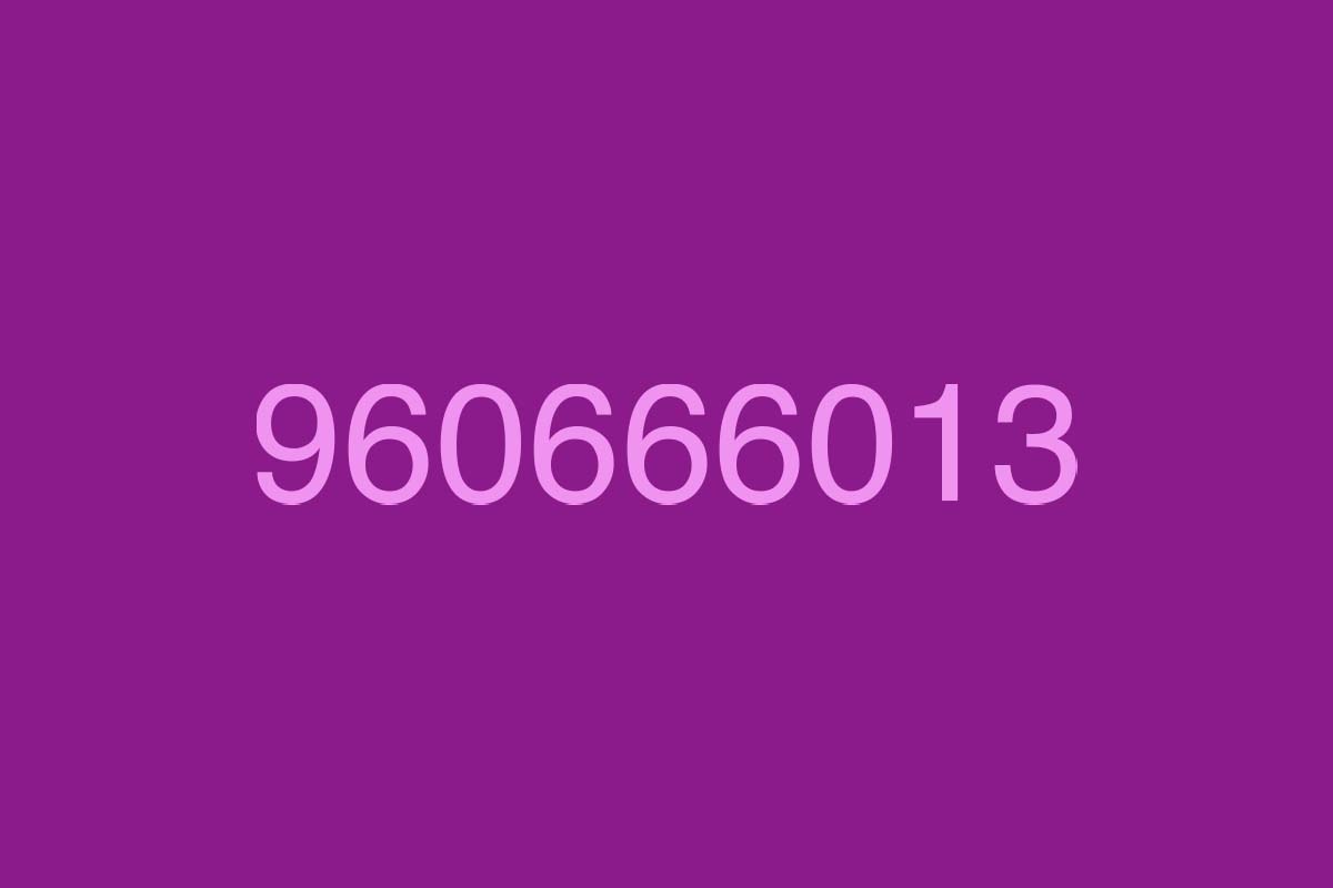 960666013 llamadas