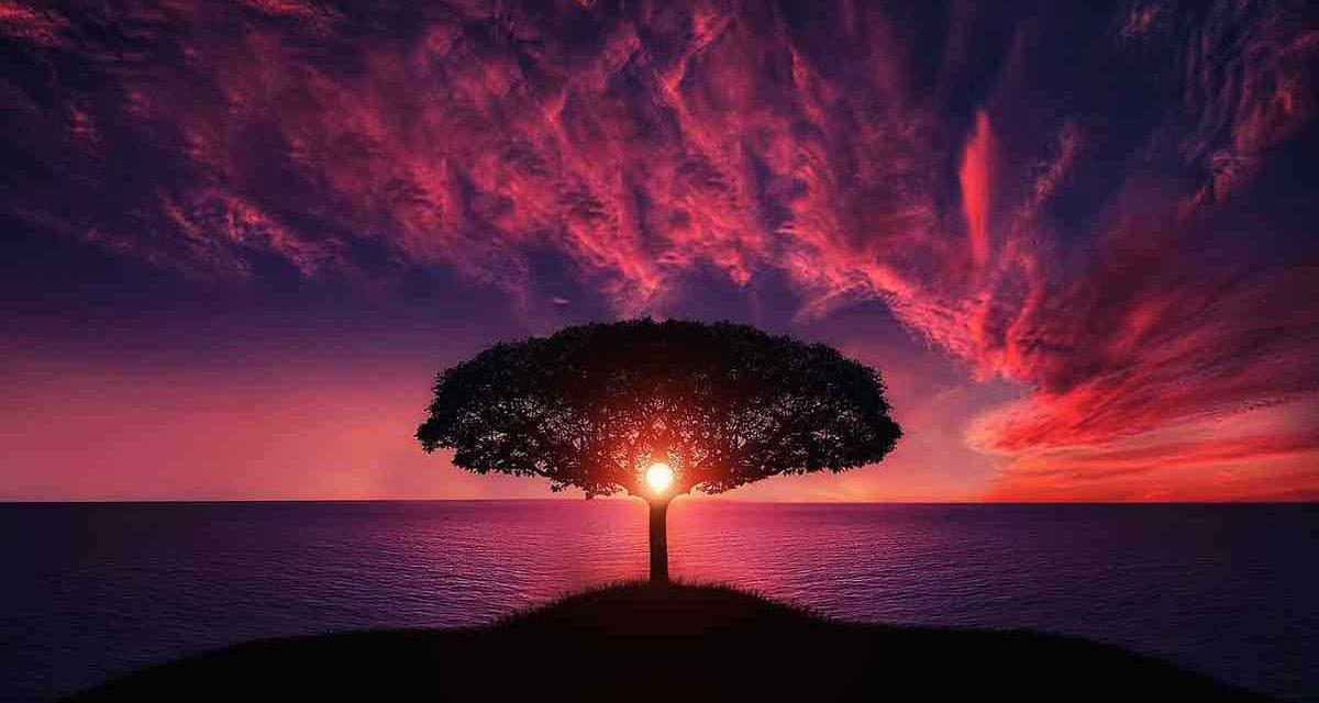 canciones paisajes instagram 2024