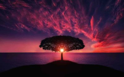 10 canciones para paisajes en Instagram 2024: atardeceres, cielo, en inglés, amaneceres…