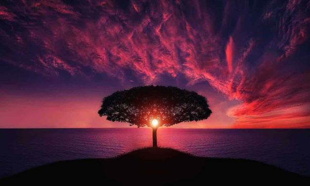10 canciones para paisajes en Instagram 2024: atardeceres, cielo, en inglés, amaneceres…