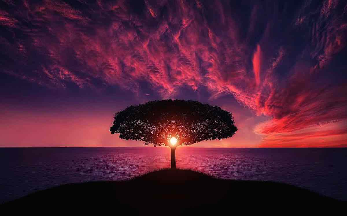 canciones paisajes instagram 2024