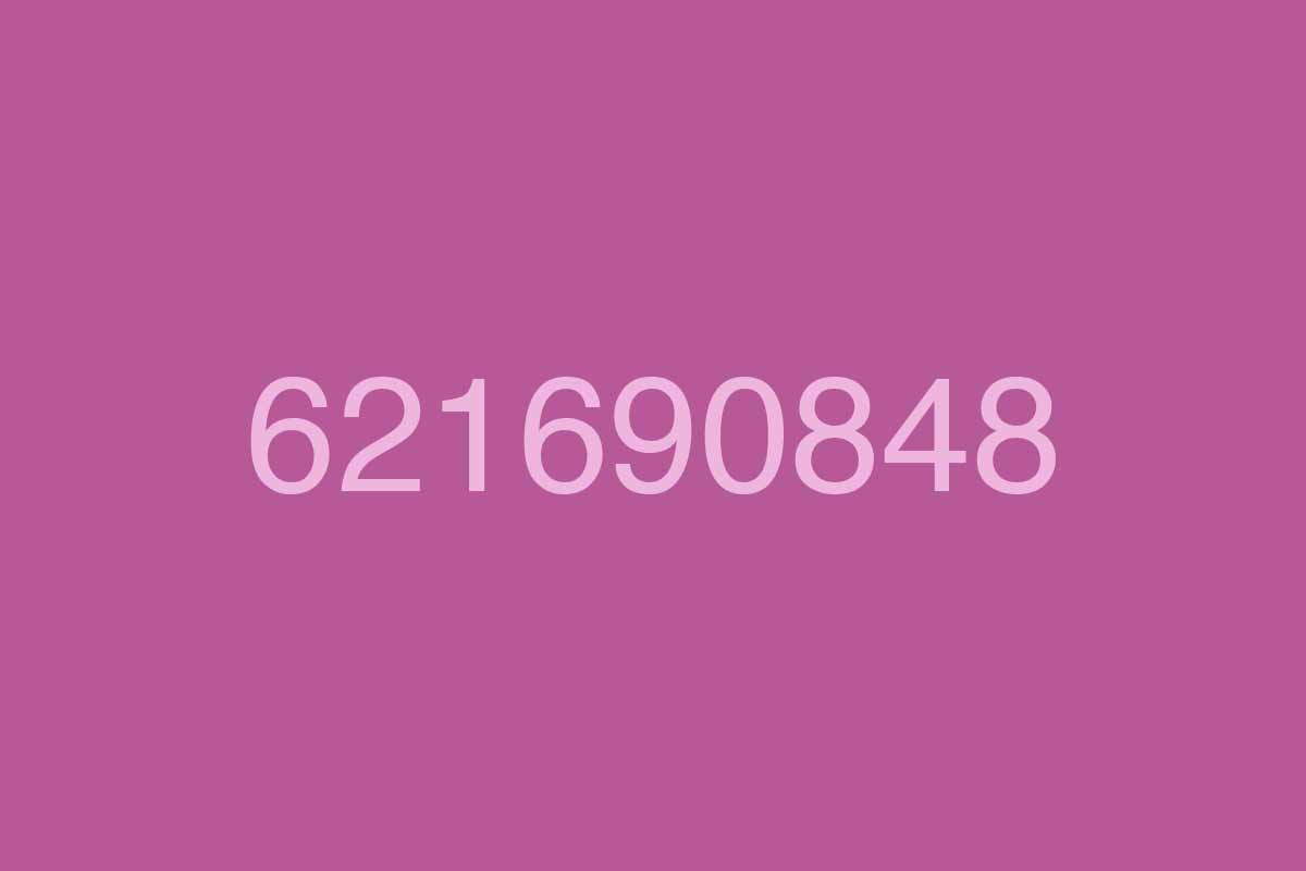 621690848-llamadas