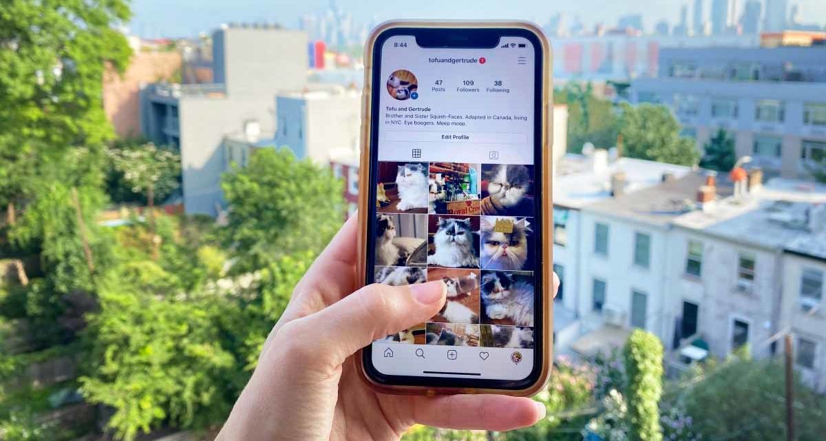 Ahorrar datos en Instagram, 7 trucos infalibles que siempre aplico