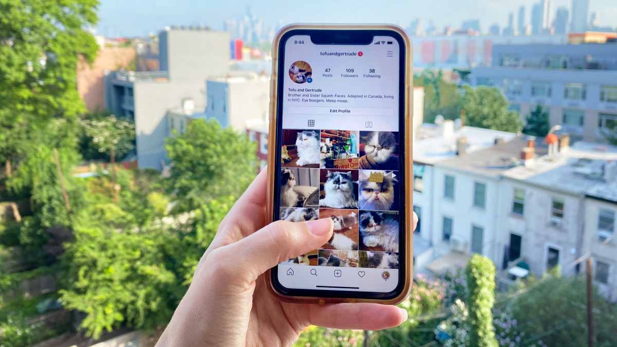 ahorrar datos en Instagram