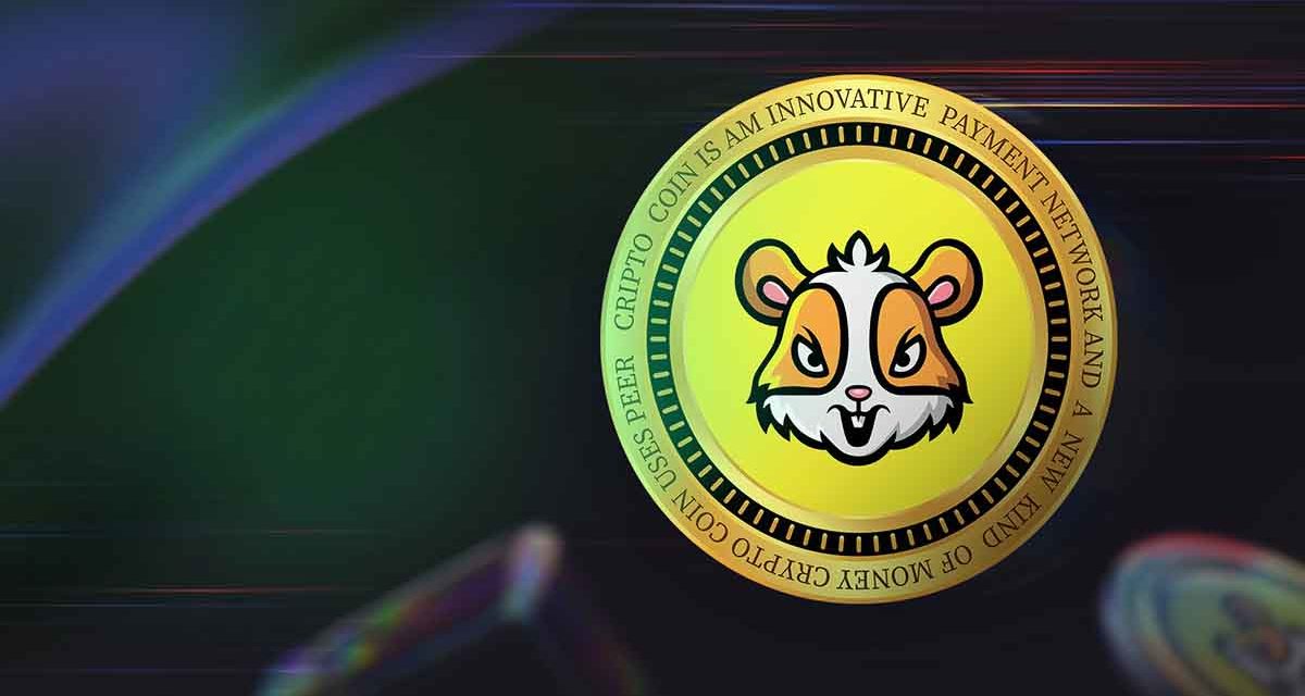 Retirar dinero en Hamster Kombat, guía paso a paso